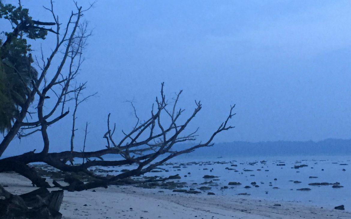 मन बावरा!